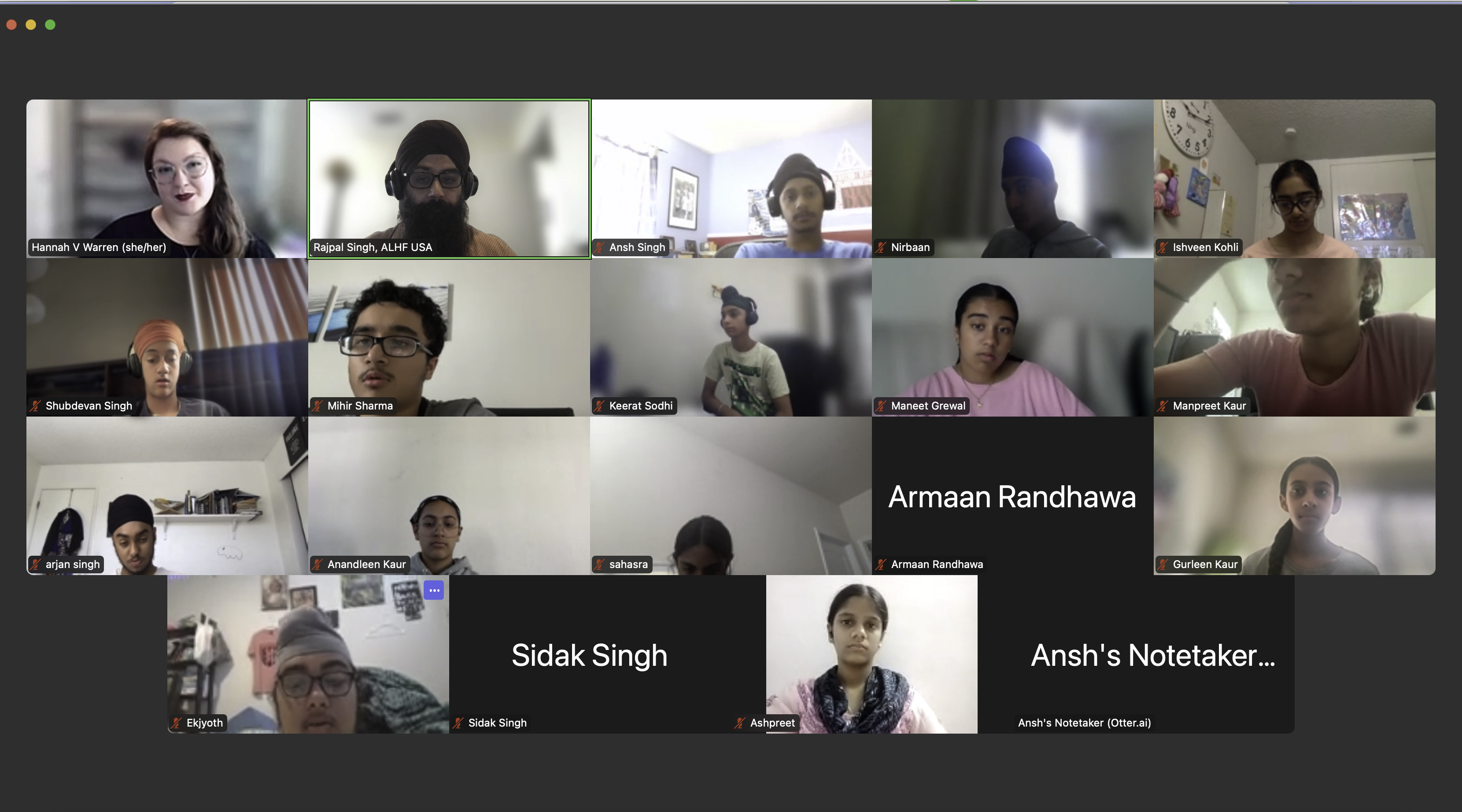 Career Guidance and Professional Mentorship